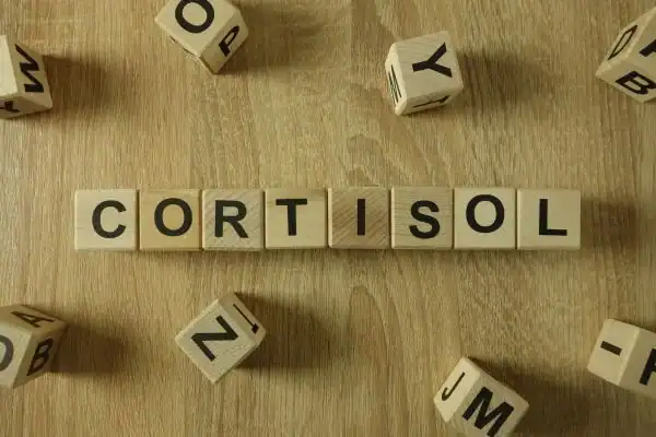 The Hidden Connection: How Stress Shapes Your Fitness and Body Composition 2 Image saying "Cortisol" and how stress Beaconsfield impacts your wellbeing and bodies shape